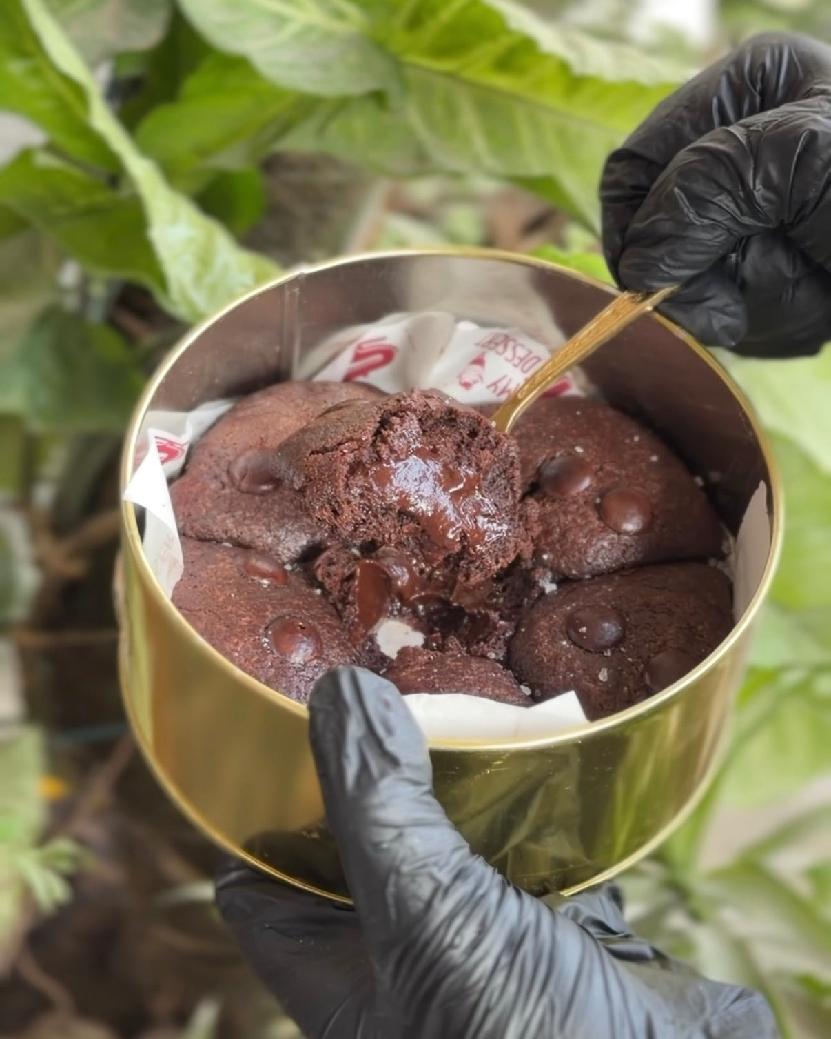 Double Chocolate Cookie Tin